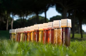 Nuestras Mieles Image